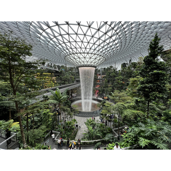 照片 新加坡(Singapore) 新加坡樟宜机场(Singapore Changi Airport) 2023-01 51