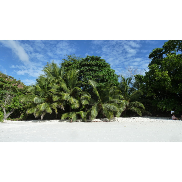 照片 塞舌尔(Seychelles) 拉齐奥湾(Anse Lazio) 2011-10 172