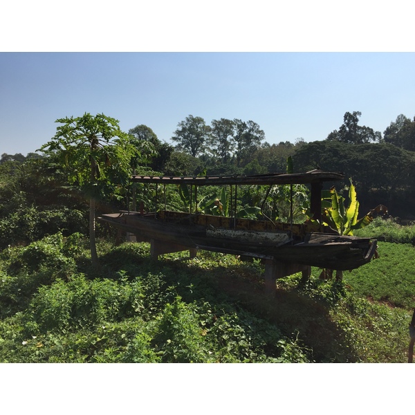 照片 泰国(Thailand) 彭世洛(Phitsanulok) 2014-12 42