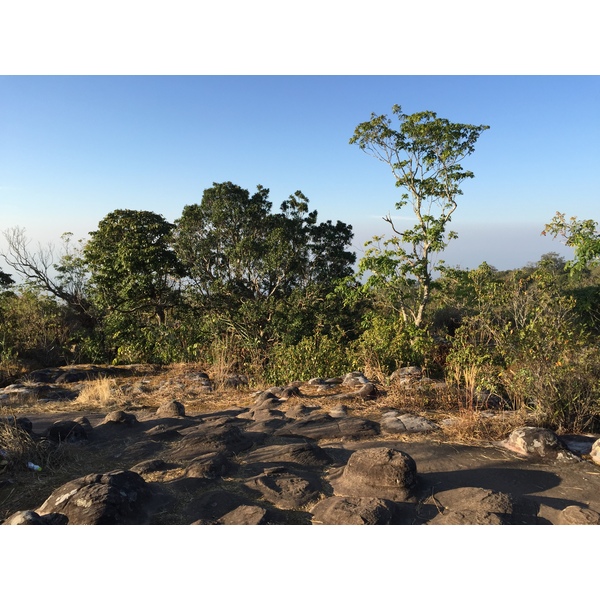 照片 泰国(Thailand) 普欣隆卡国家公园(Phu Hin Rong Kla National Park) 2014-12 415