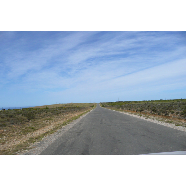 照片 南非(South Africa) 赫曼努斯至克尼斯纳公路(Harmanus to Knysna road) 2008-09 47