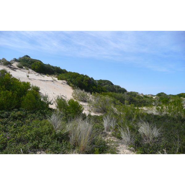 照片 南非(South Africa) 赫曼努斯至克尼斯纳公路(Harmanus to Knysna road) 2008-09 86