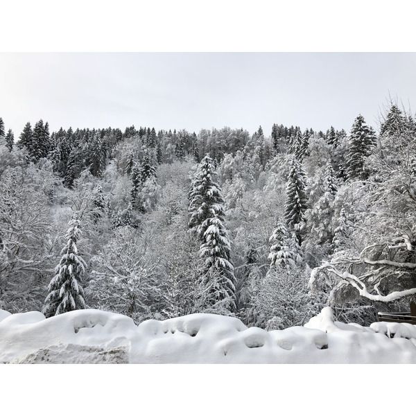 照片 法国(France) 拉克吕萨(La Clusaz) 2017-12 295