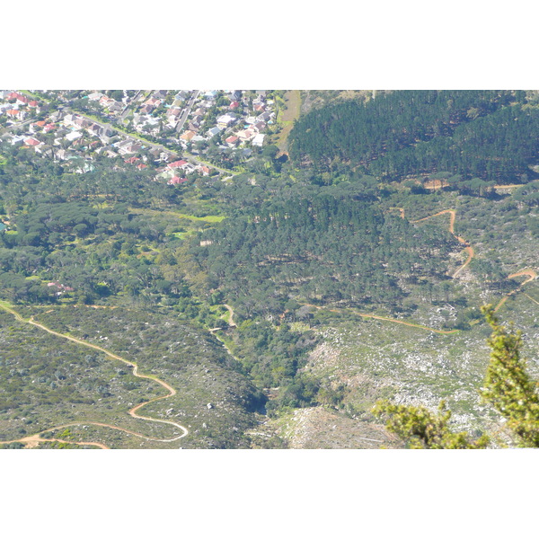 照片 南非(South Africa) 开普敦(Cape Town) 桌山(Table Mountain) 2008-09 51