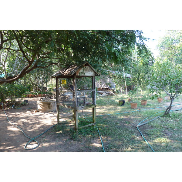 照片 泰国(Thailand) 清迈(Chiang Mai) 湄沙蛇园(Mae Sa Snake Farm) 2010-12 9