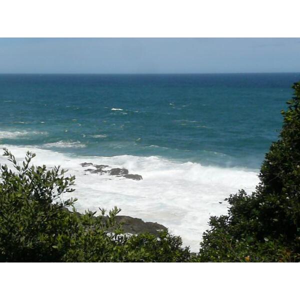 照片 南非(South Africa) 齐齐卡马国家公园(Tsitsikamma National Park) 2008-09 434