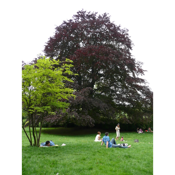 照片 法国(France) 巴黎(Paris) 蒙索公园(Monceau Garden) 2007-06 3