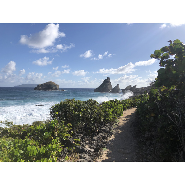 照片 瓜德罗普(Guadeloupe) 城堡角(Castle Point) 2021-02 272