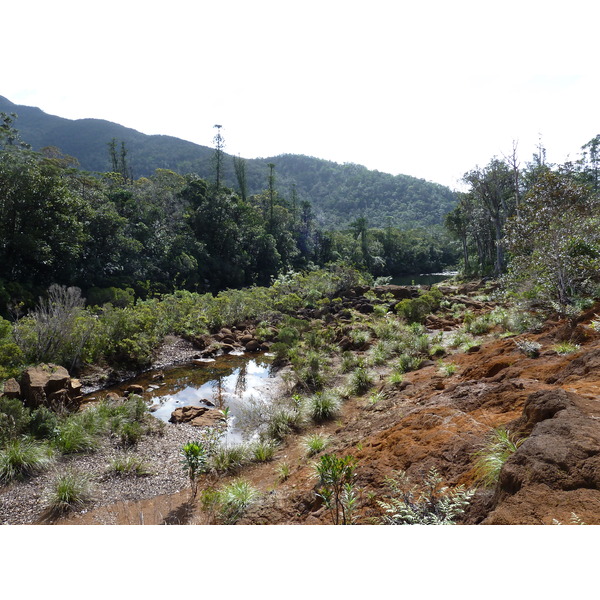 照片 新喀里多尼亚(New Caledonia) 蓝河公园(Parc de la Riviere Bleue) 2010-05 4