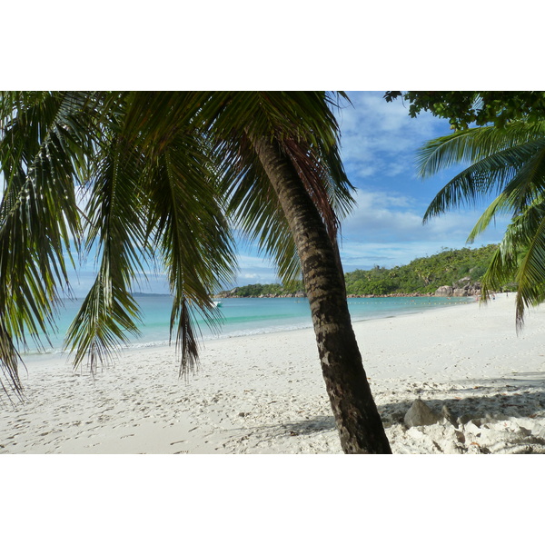照片 塞舌尔(Seychelles) 拉齐奥湾(Anse Lazio) 2011-10 45