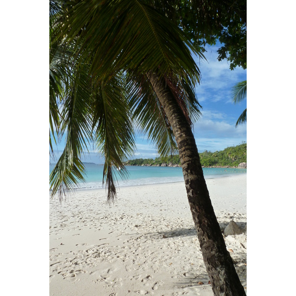 照片 塞舌尔(Seychelles) 拉齐奥湾(Anse Lazio) 2011-10 50