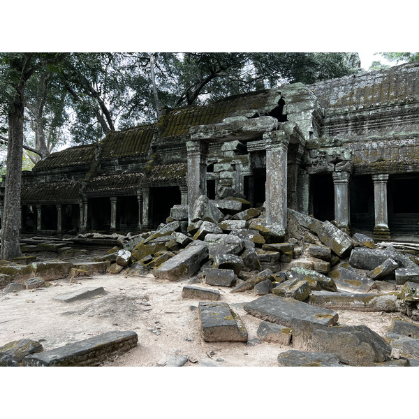 照片 柬埔寨(Cambodia) 暹粒(Siem Reap) 塔布茏寺(Ta Prohm) 2023-01 82