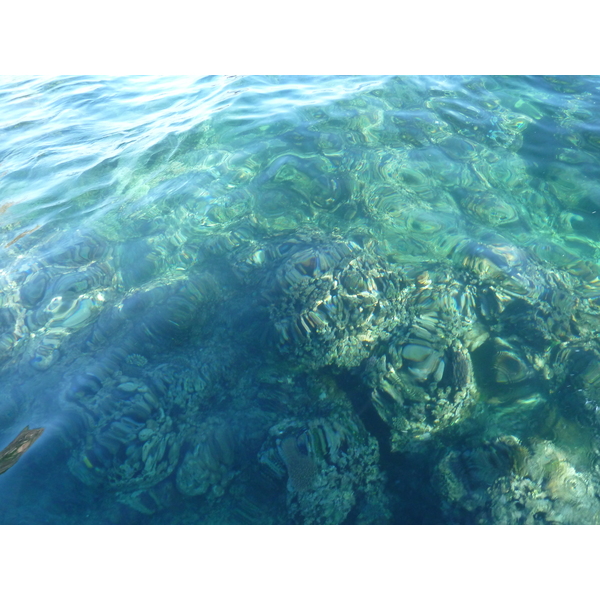 照片 斐济(Fiji) 漂流者岛(Castaway Island) 2010-05 169