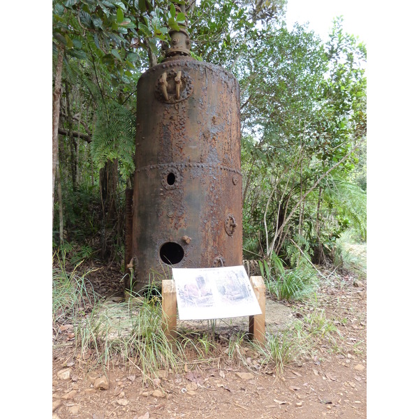 照片 新喀里多尼亚(New Caledonia) 蓝河公园(Parc de la Riviere Bleue) 2010-05 67