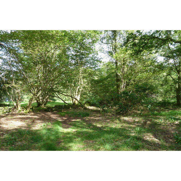 照片 英国(United Kingdom) 苏格兰(Scotland) 英奇马霍姆修道院(Inchmahome Priory) 2011-07 15