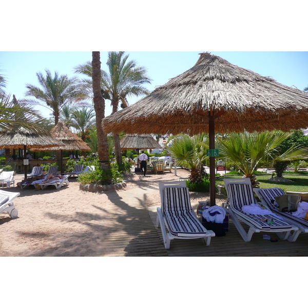 照片 埃及(Egypt) 沙姆沙伊赫(Sharm el Sheikh) 2008-06 102