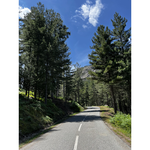 照片 法国(France) 科西嘉岛(Corsica) 阿斯科(Asco) 2023-06 28
