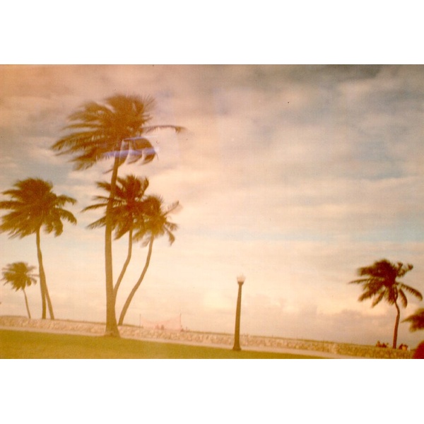 照片 美国(United States) 迈阿密海滩(Miami Beach) 1991-11 6