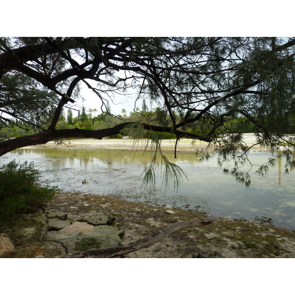照片 新喀里多尼亚(New Caledonia) 松树岛(Ile des pins) 奥罗湾(Oro Bay) 2010-05 106