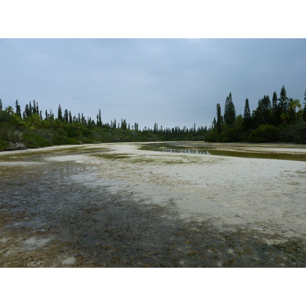 照片 新喀里多尼亚(New Caledonia) 松树岛(Ile des pins) 奥罗湾(Oro Bay) 2010-05 14