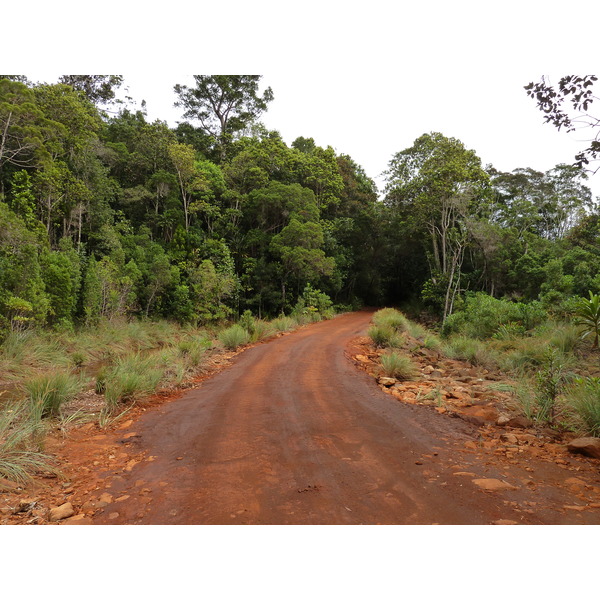 照片 新喀里多尼亚(New Caledonia) 蓝河公园(Parc de la Riviere Bleue) 2010-05 109