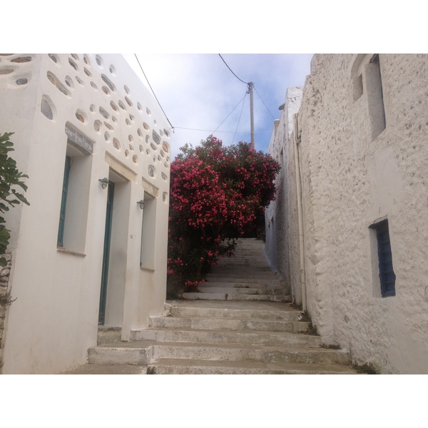 照片 希腊(Greece) 阿莫尔戈斯岛(Amorgos) 2014-07 398