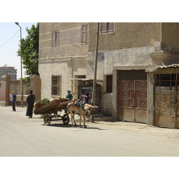 照片 埃及(Egypt) 开罗(Cairo) 2004-09 40