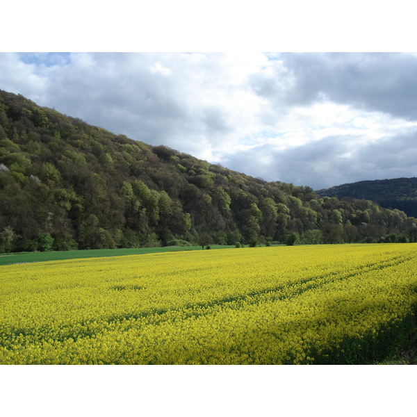 照片 英国(United Kingdom) 瓦伊河谷(Wye Valley) 2006-05 29
