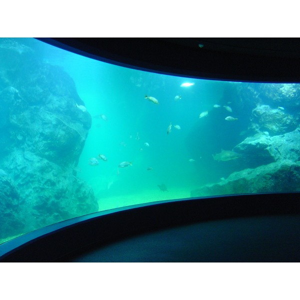 照片 泰国(Thailand) 曼谷(Bangkok) 暹罗海洋世界(Siam Ocean World) 2005-12 37