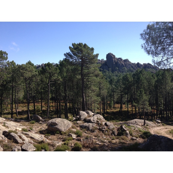 照片 法国(France) 科西嘉岛(Corsica) 奥斯佩达莱森林(L'ospedale Forest) 2012-09 48