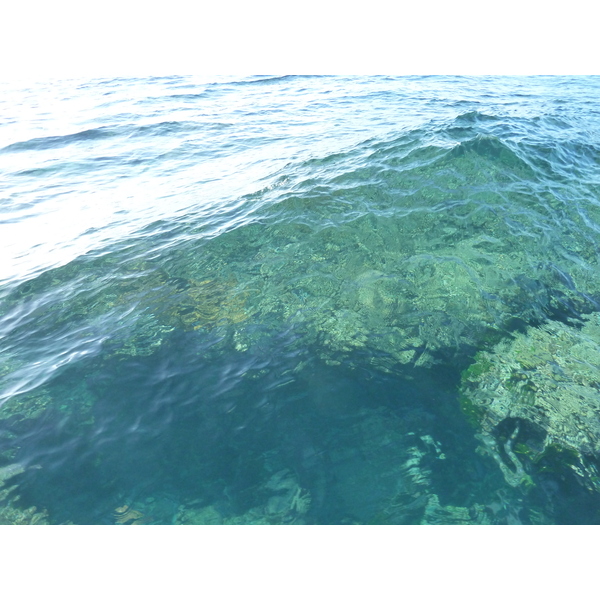 照片 斐济(Fiji) 漂流者岛(Castaway Island) 2010-05 185