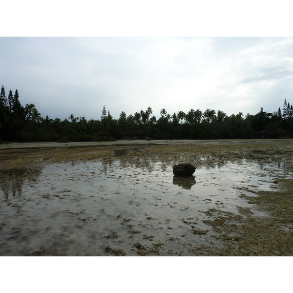 照片 新喀里多尼亚(New Caledonia) 松树岛(Ile des pins) 奥罗湾(Oro Bay) 2010-05 12