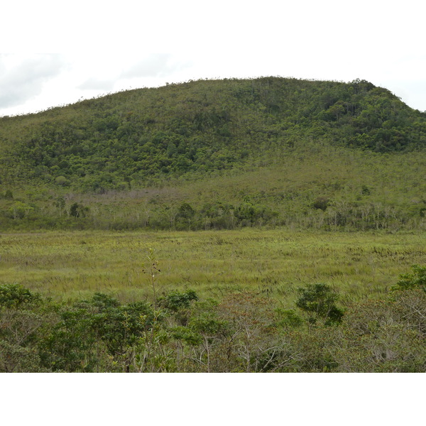 照片 新喀里多尼亚(New Caledonia) 蓝河公园(Parc de la Riviere Bleue) 2010-05 51
