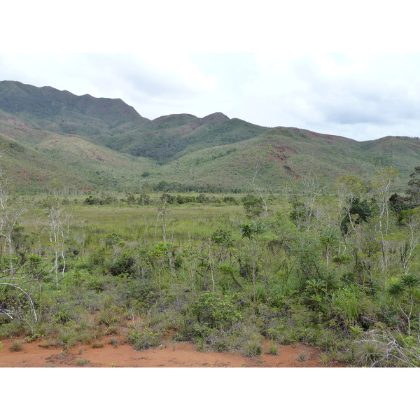 照片 新喀里多尼亚(New Caledonia) 蓝河公园(Parc de la Riviere Bleue) 2010-05 50