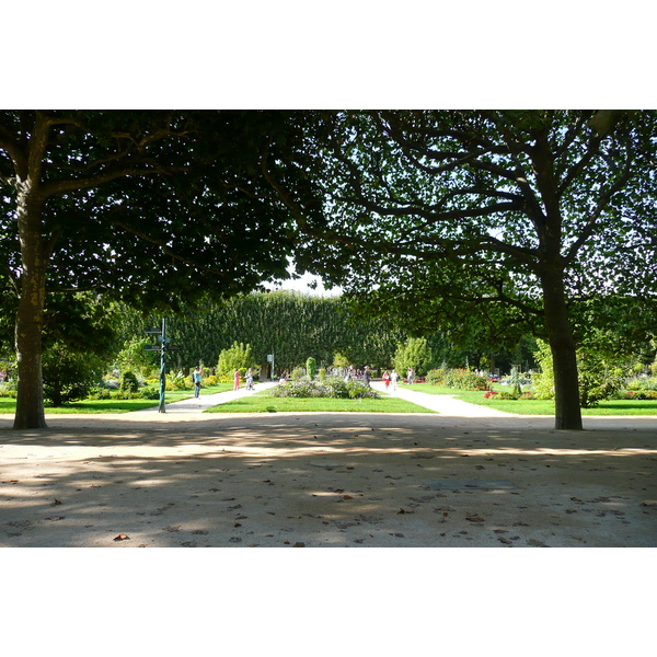 照片 法国(France) 巴黎(Paris) 巴黎植物园(Jardin des Plantes) 2007-08 25