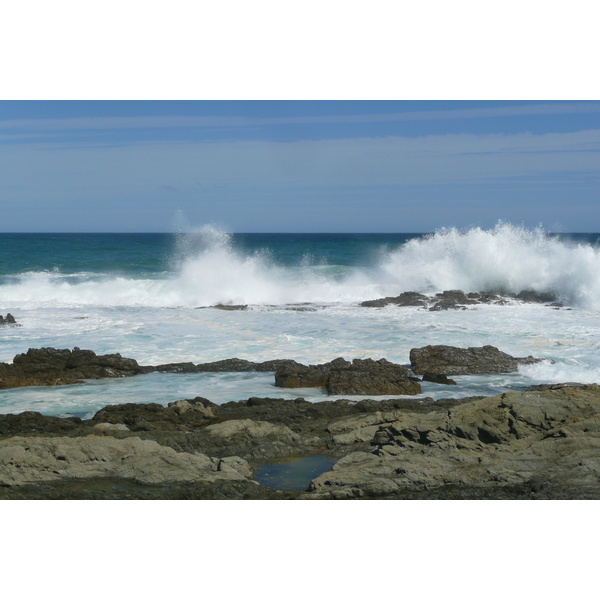 照片 南非(South Africa) 齐齐卡马国家公园(Tsitsikamma National Park) 2008-09 472