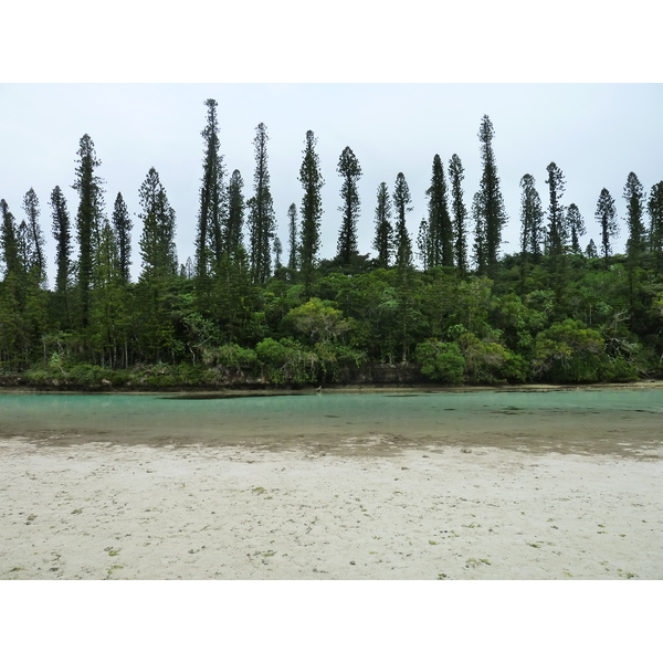 照片 新喀里多尼亚(New Caledonia) 松树岛(Ile des pins) 奥罗湾(Oro Bay) 2010-05 30