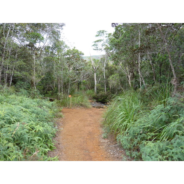 照片 新喀里多尼亚(New Caledonia) 蓝河公园(Parc de la Riviere Bleue) 2010-05 38