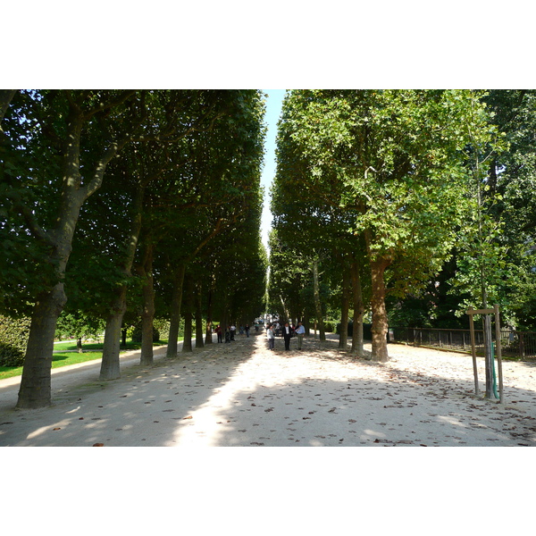 照片 法国(France) 巴黎(Paris) 巴黎植物园(Jardin des Plantes) 2007-08 26