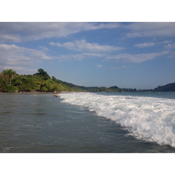 照片 哥斯达黎加(Costa Rica) 曼努埃尔安东尼奥(Manuel Antonio) 2015-03 481
