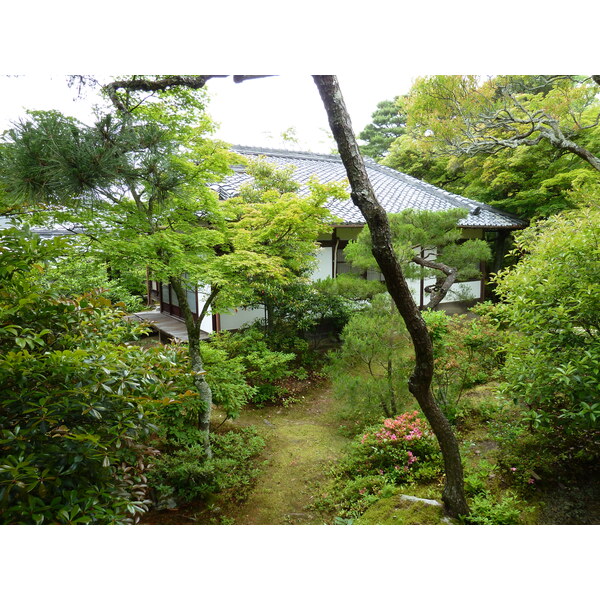 照片 日本(Japan) 京都(Kyoto) 仁和寺御殿(Ninna ji imperial Residence) 2010-06 82