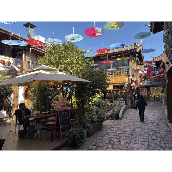 照片 中国(China) 丽江(Lijiang) 2026-01 599