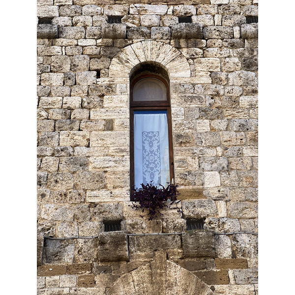 照片 意大利(Italy) 圣吉米尼亚诺(San Gimignano) 2021-09 148