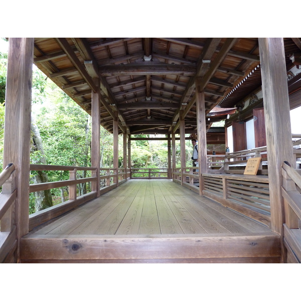 照片 日本(Japan) 京都(Kyoto) 仁和寺御殿(Ninna ji imperial Residence) 2010-06 101
