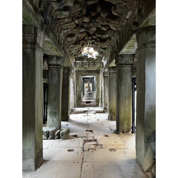 照片 柬埔寨(Cambodia) 暹粒(Siem Reap) 圣剑寺(Preah Khan) 2023-01 29