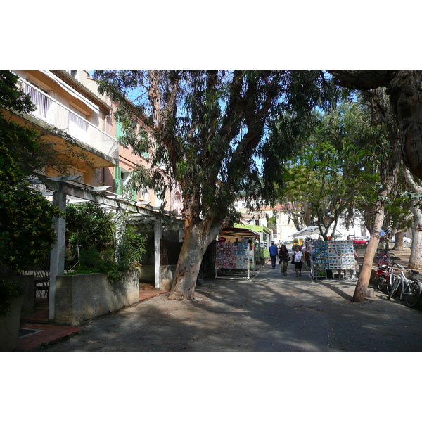 照片 法国(France) 波克罗勒岛(Porquerolles Island) 波克罗勒(Porquerolles) 2008-05 34