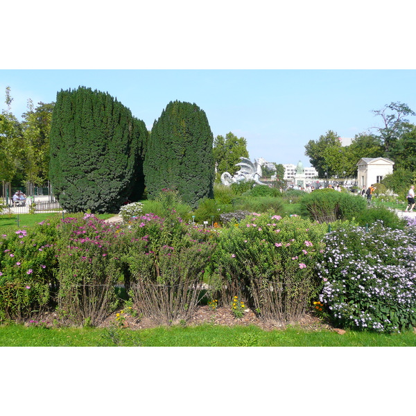 照片 法国(France) 巴黎(Paris) 巴黎植物园(Jardin des Plantes) 2007-08 222