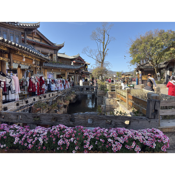 照片 中国(China) 丽江(Lijiang) 2026-01 328