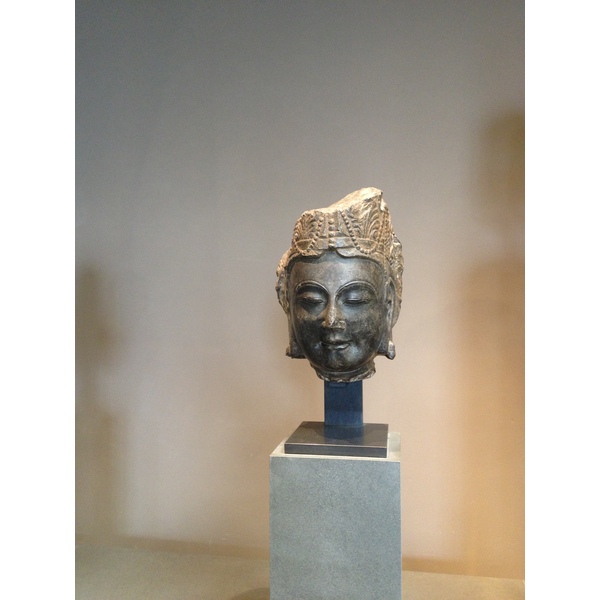 照片 法国(France) 巴黎(Paris) 赛努奇博物馆(Cernuschi Museum) 2014-03 13