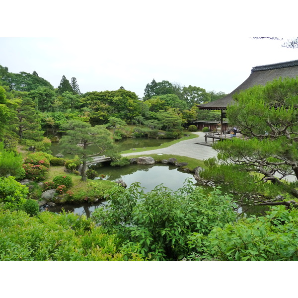 照片 日本(Japan) 京都(Kyoto) 仁和寺御殿(Ninna ji imperial Residence) 2010-06 28